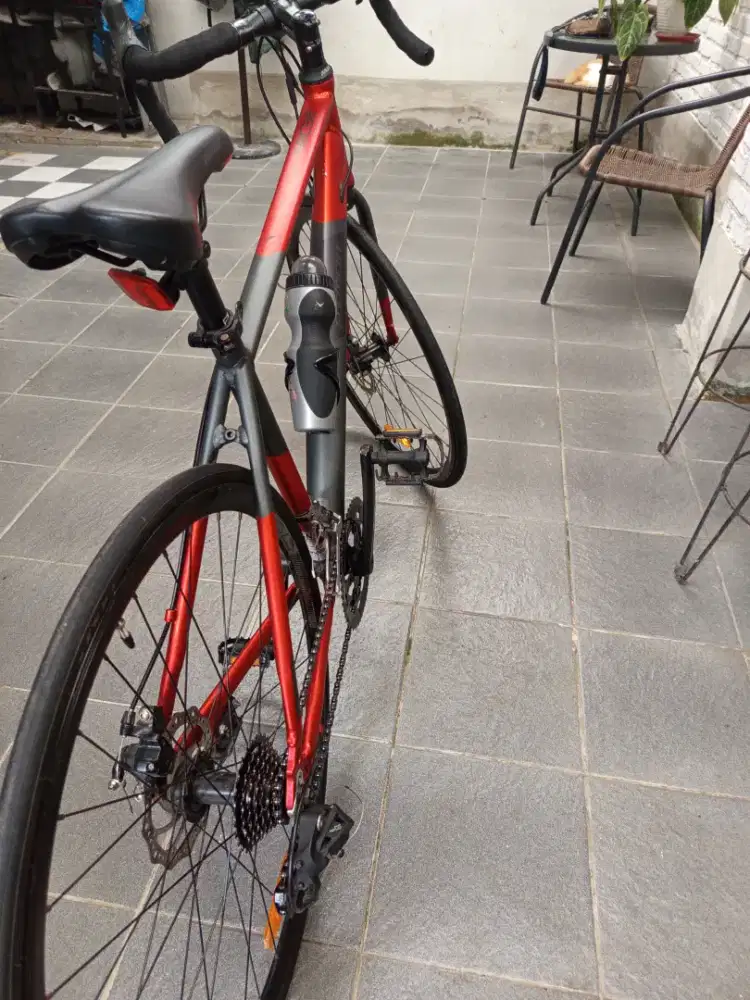 Roadbike Element Mulus