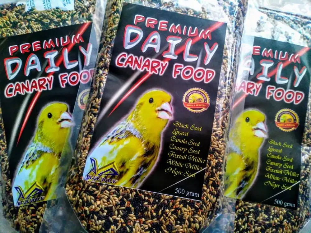 Pakan Canary Harian Terbaik