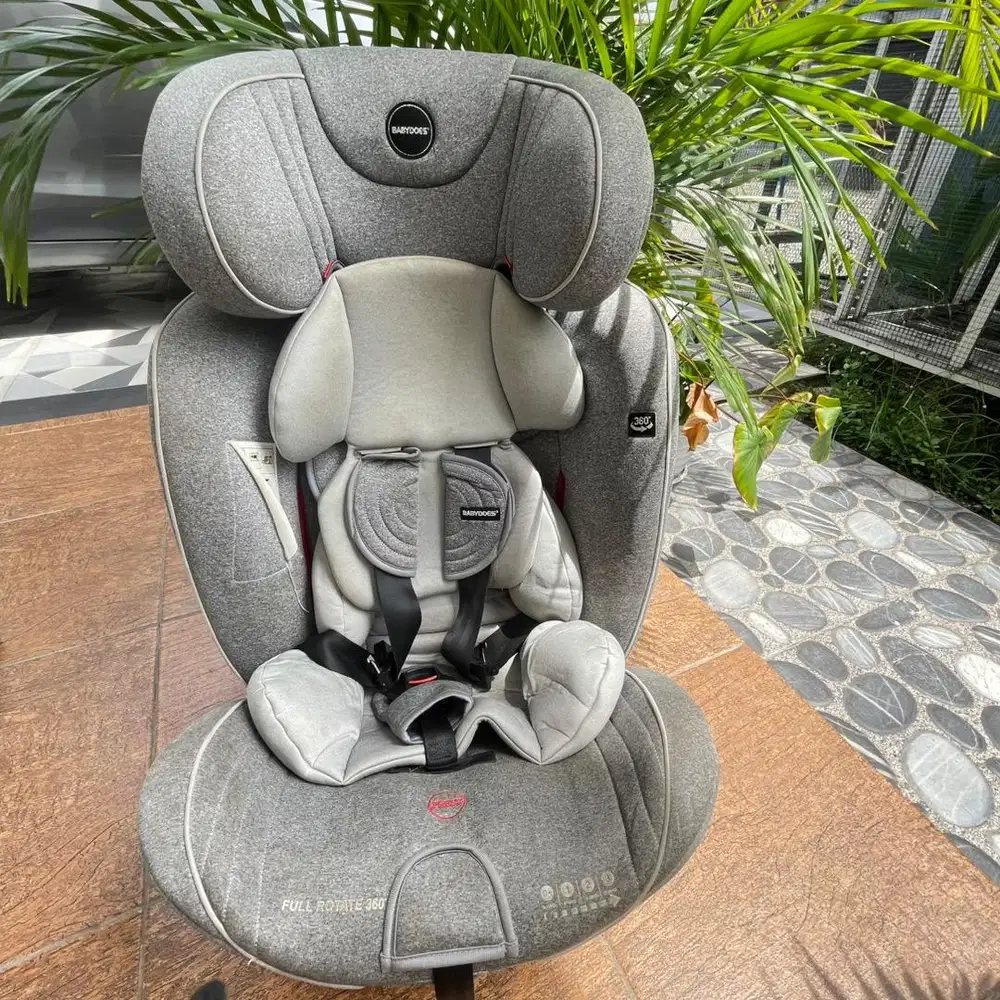 Car Seat Babydoes
