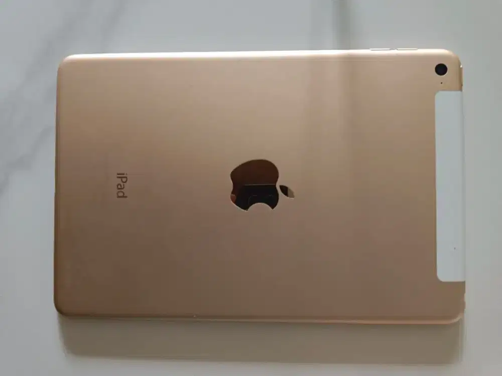 Ipad Mini 4 128gb wifi CELL