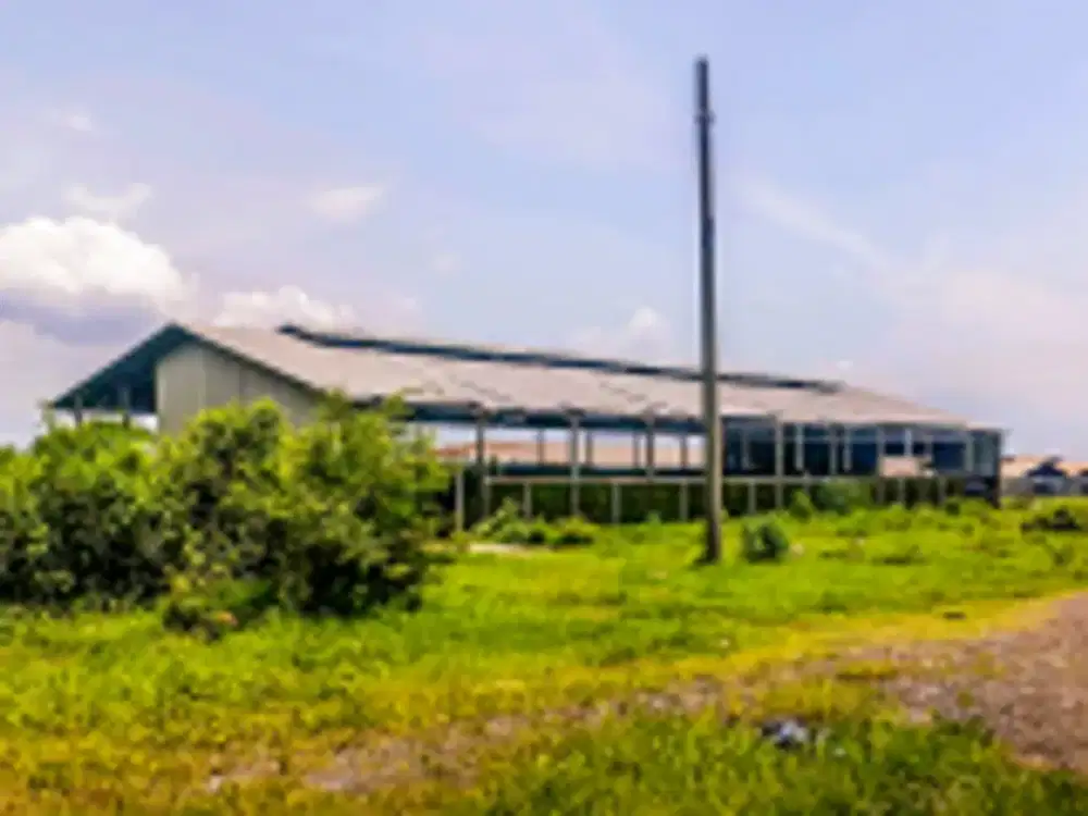 DIJUAL 1 BIDANG TANAH DENGAN TOTAL LUAS 288.250 M2 BERIKUT BANGUNAN - PASURUAN