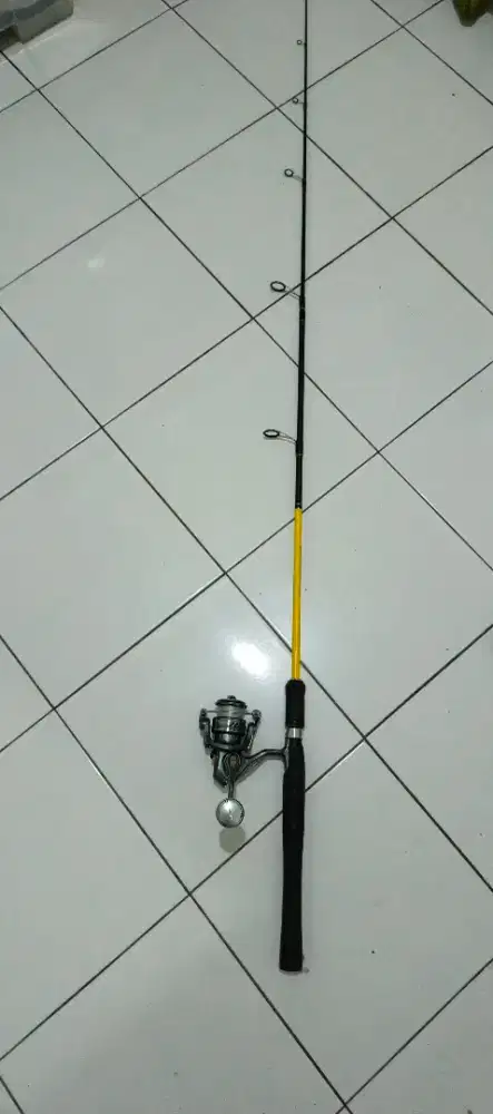 HINOMIYA YELLOW CARP