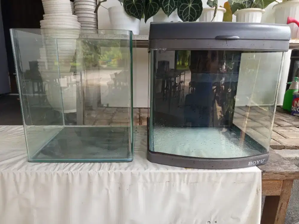 Aquarium BOYU + Aquarium Aquascape