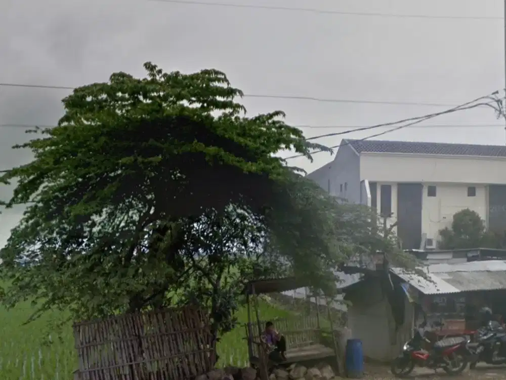 Dijual Tanah Sawah di Indramayu - Lohbener - Sebelah RS Medissina