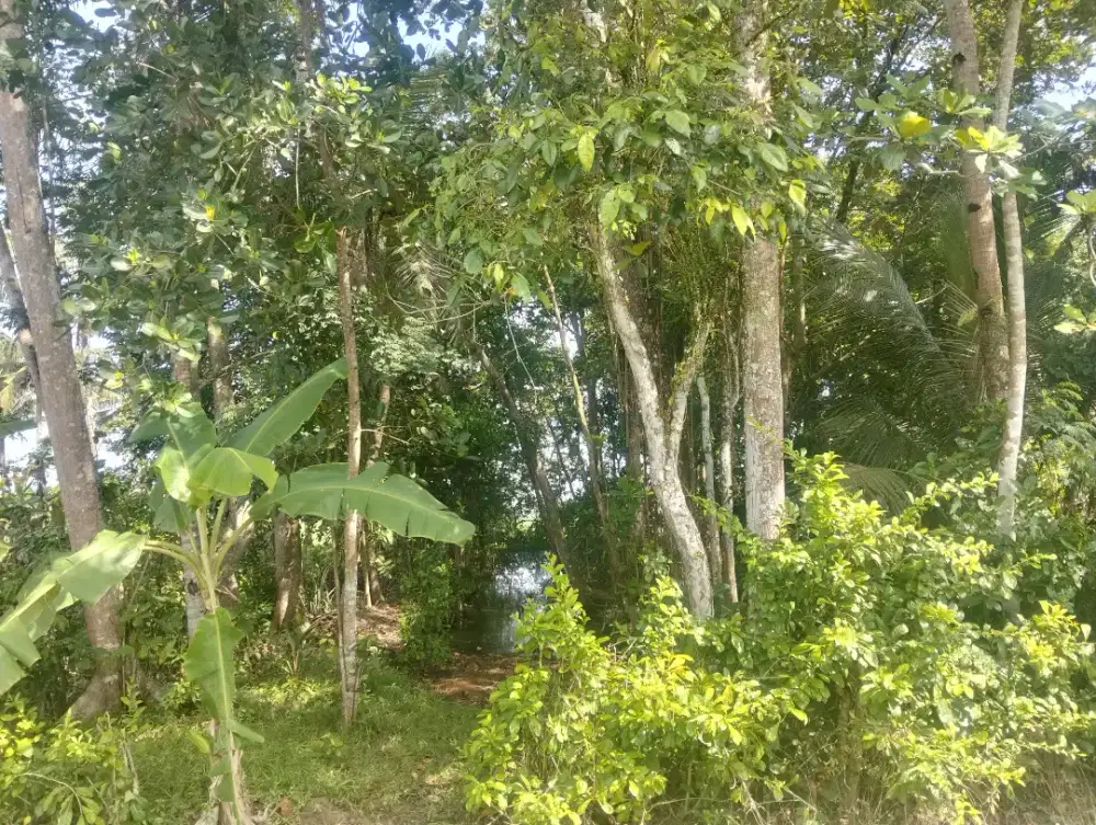 Di jual tanah pekarangan