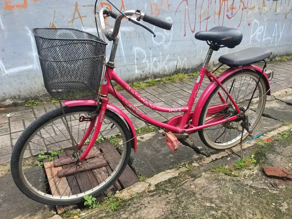 Sepeda cewek jieyang