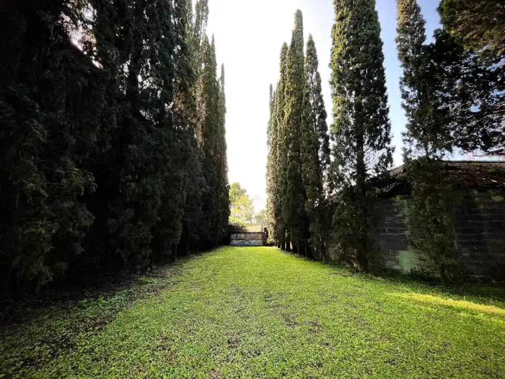 Dijual Cepat Tanah dibawah NJOP di Setiabudi Bandung