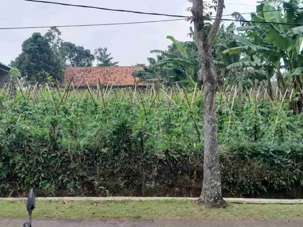 dijual lahan pinggir jalan 660 meter