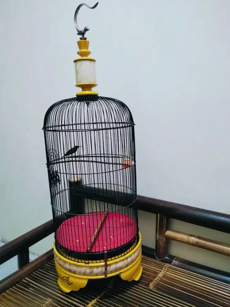 Jual Burung S'G'N fighter