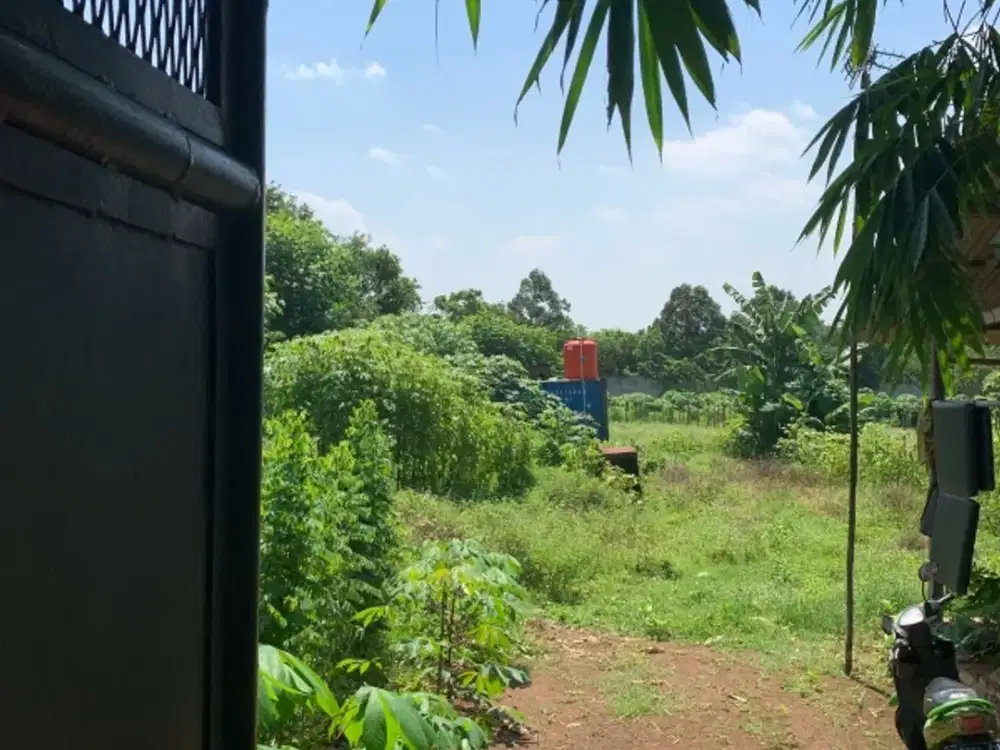 Dijual Tanah Di Cikeusal Serang Banten