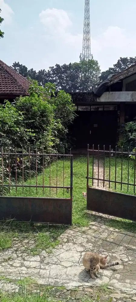 Jual Tanah Bonus Bangunan di Jalan Merak Tanah Sereal Bogor