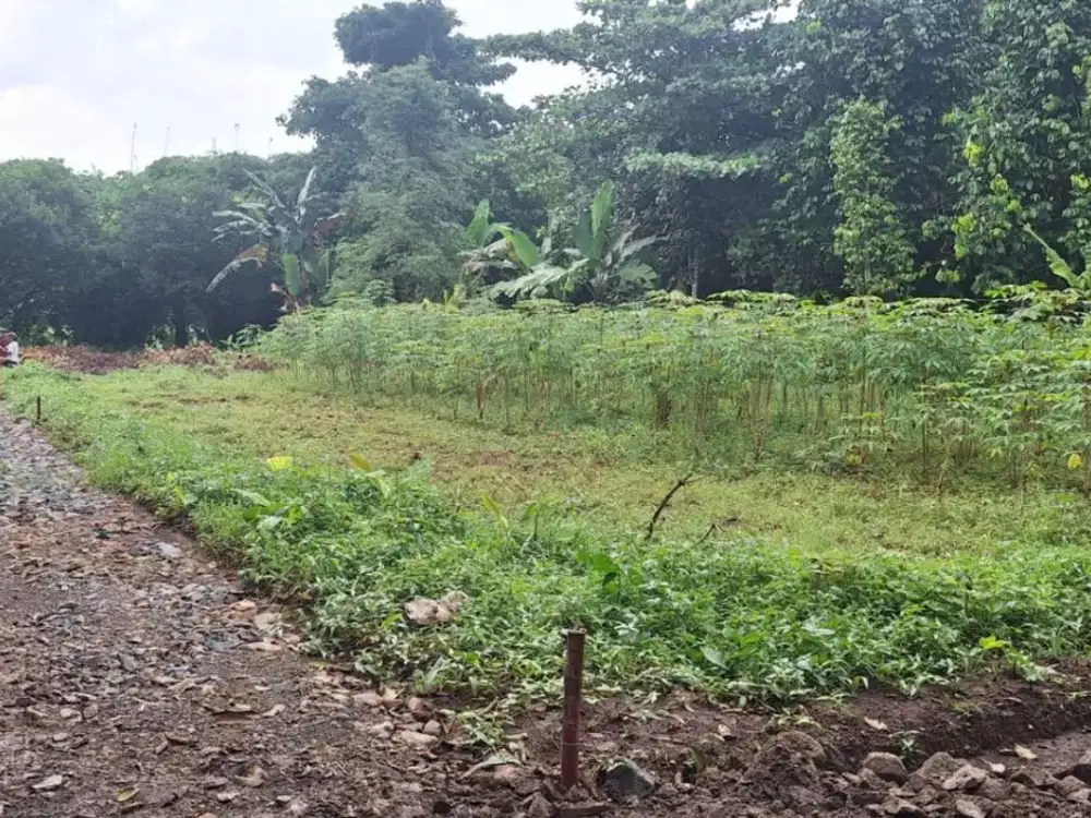 Kavling Murah Setu, Bekasi. Dekat Pintu Tol Burangkeng. Terima SHM Pecah