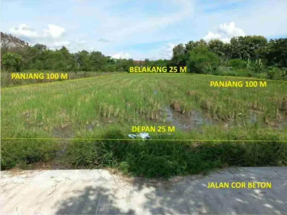Tanah Luas Siap Investasi di Jalan Kabupaten