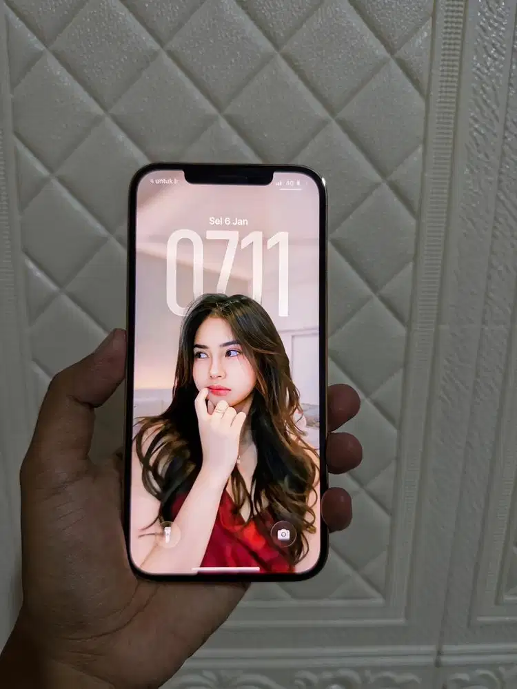 iphone 12 promax 256 resmi