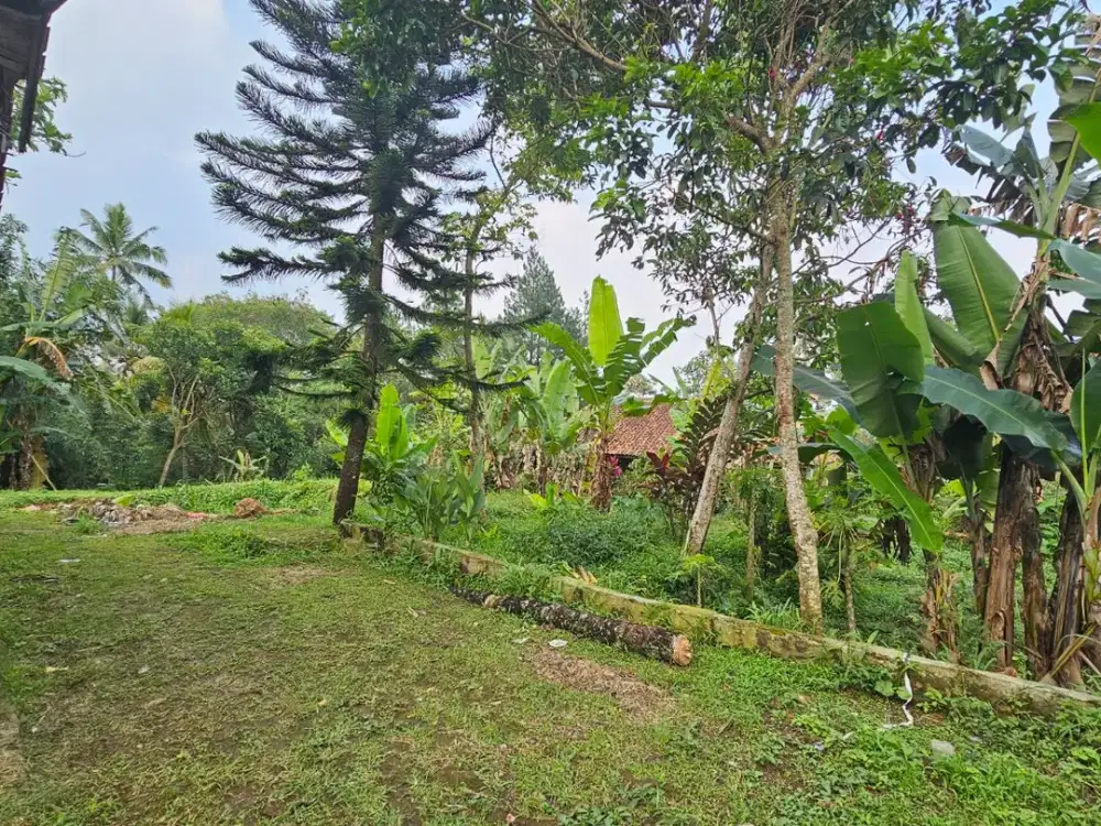 DIJUAL TANAH DAN BANGUNAN KAWASAN STRATEGIS CICURUG SUKABUMI