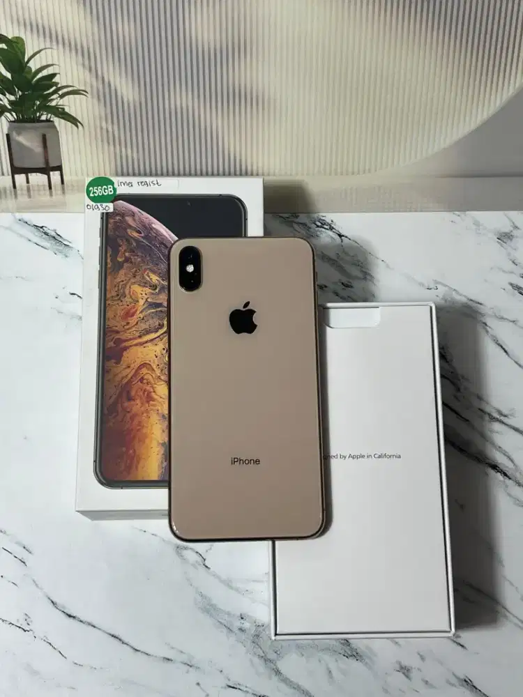 iPhone XS MAX 256GB IMEI Regist Permanen