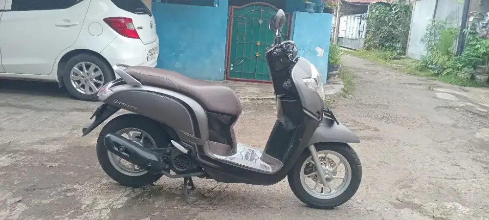 Scoopy Stylish 2017