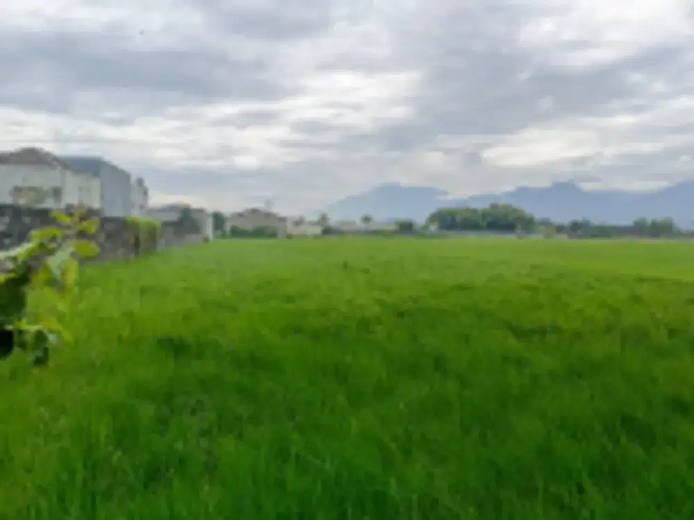 DIJUAL 6 BIDANG TANAH DENGAN TOTAL LUAS 19.890 M2 BERIKUT BANGUNAN - JOMBANG