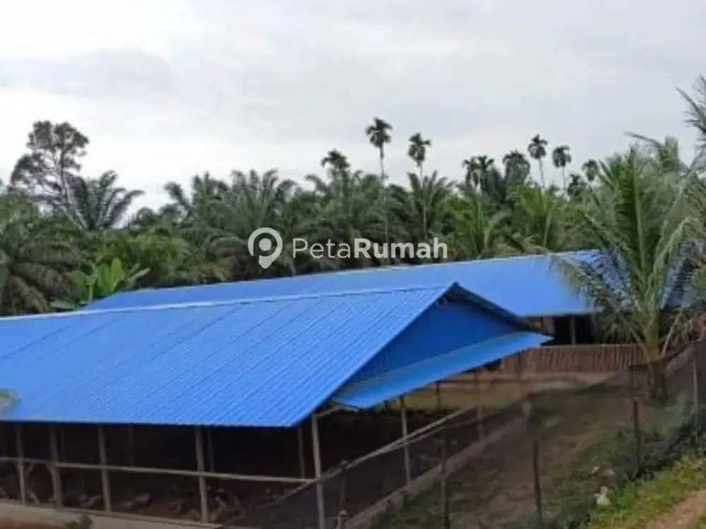 DIJUAL TANAH JALAN SP SUKARAME DUSUN SUKARAMAE - LANGKAT (mike)