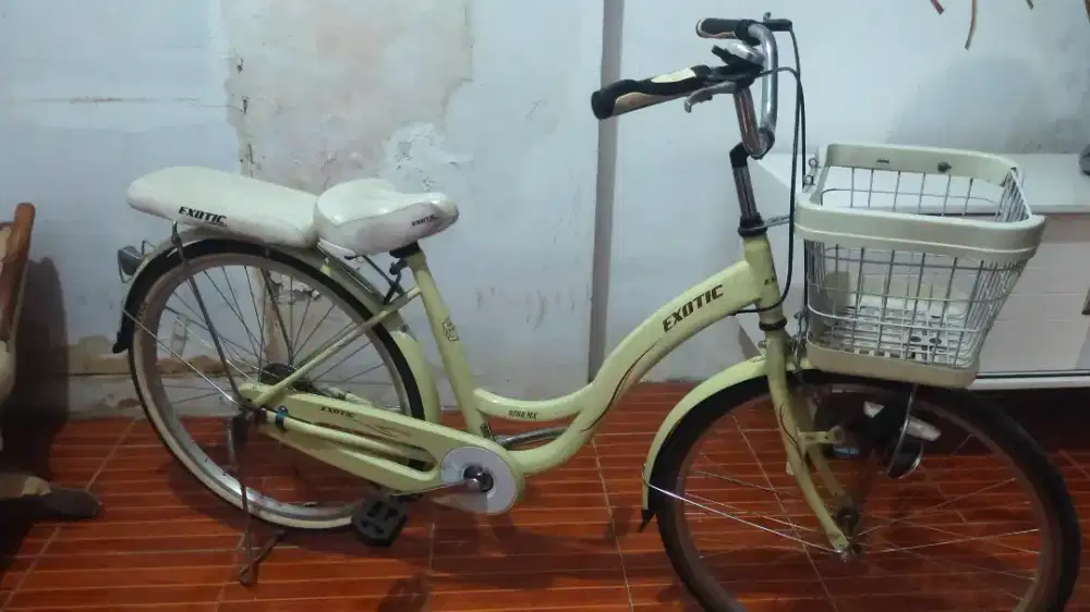 DIJUAL CEPAT SEPEDA EXOTIC