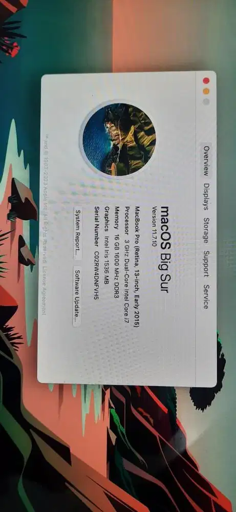 Macbook Pro 13 Early 2015