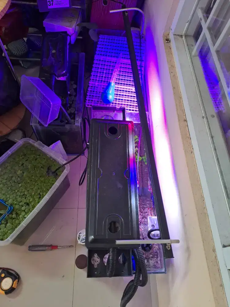 Aquarium 100 x 20 x 30 include filter dan powerhead mesin pompa