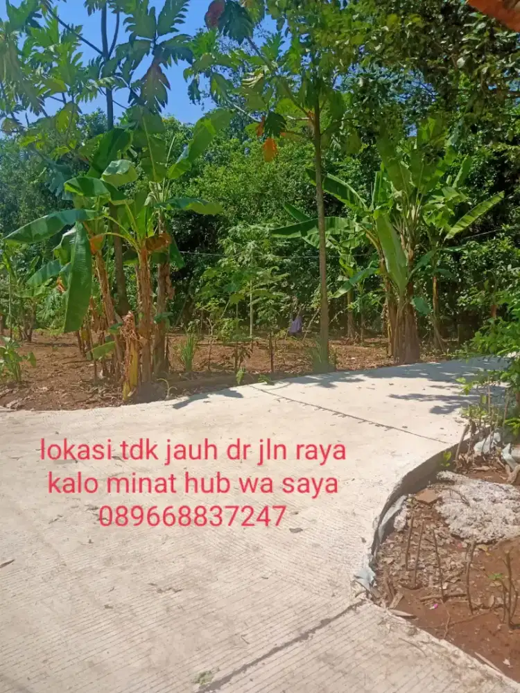 Jual tanah samping jalan raya provinsi