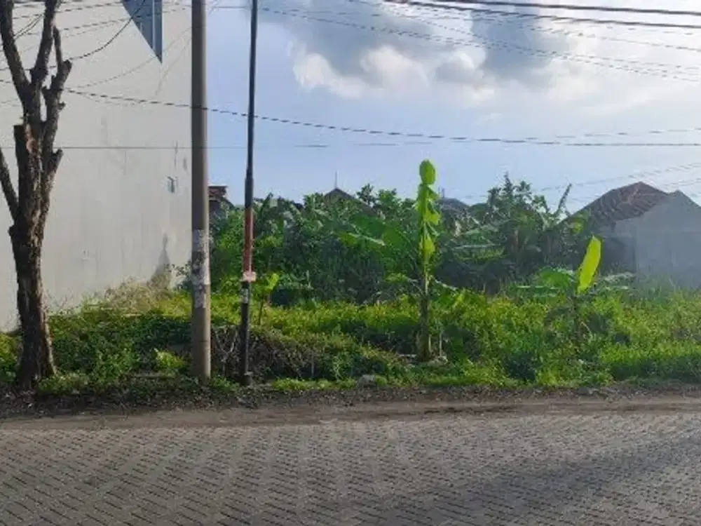 Termurah Tanah Kavling Bumi Marina Mas Boulevard Jalan Utama Paling Murah Surabaya