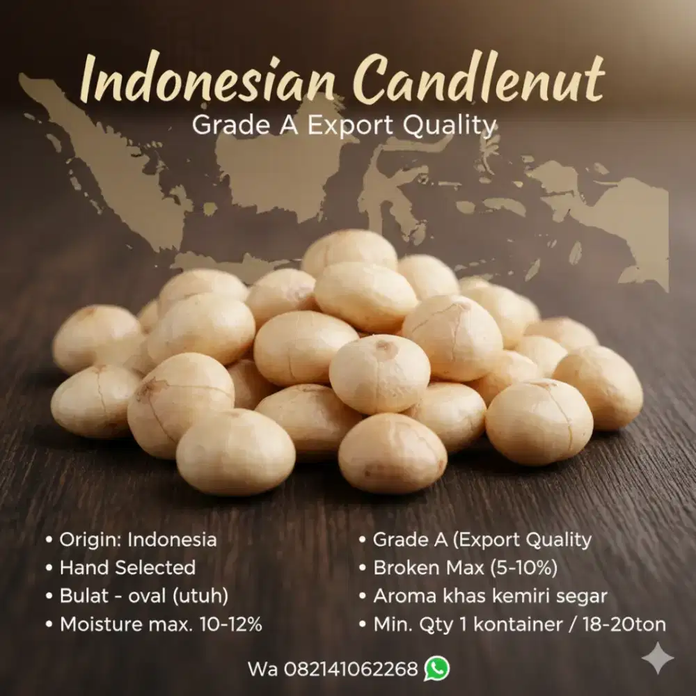 Kemiri bulat oval sudah kupasan min. 1 kontainer / 18-20 tin