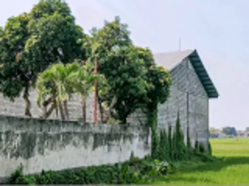 DIJUAL 2 BIDANG TANAH DENGAN TOTAL LUAS 6770 M2 BERIKUT BANGUNAN - JOMBANG