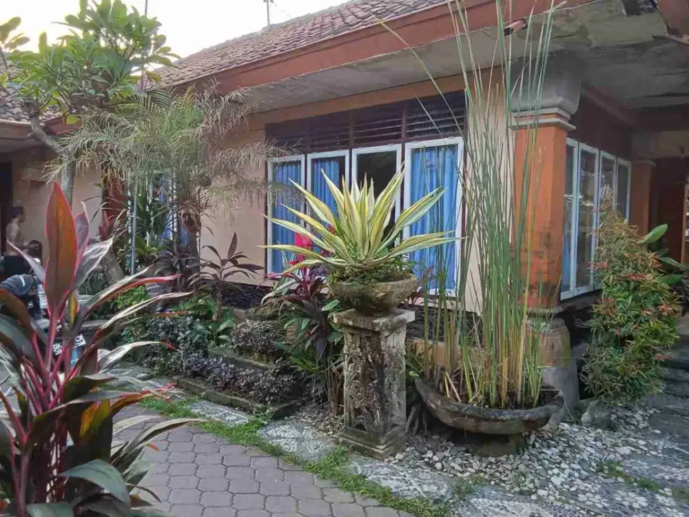 tanah dekat grand lucky Sanur bali