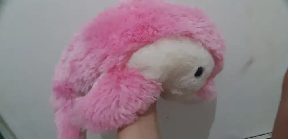 Jual Boneka Dolpin Pink