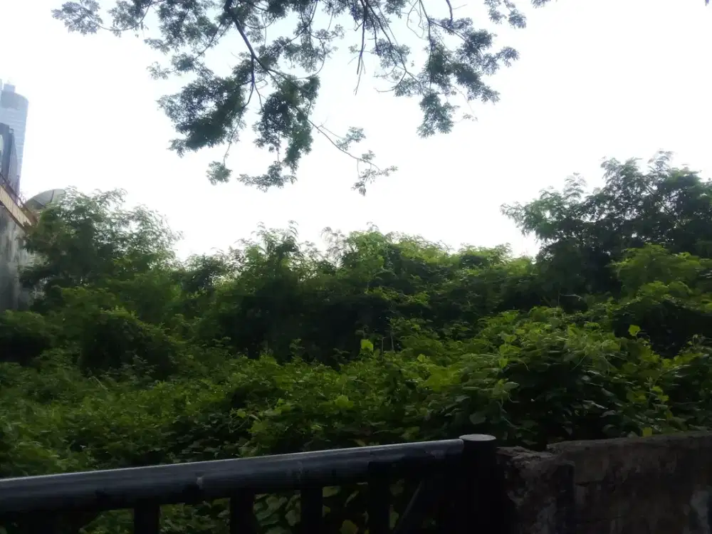 Tanah Paling Murah Termurah Patra Kuningan Jalan Rasuna Said Jakarta Selatan