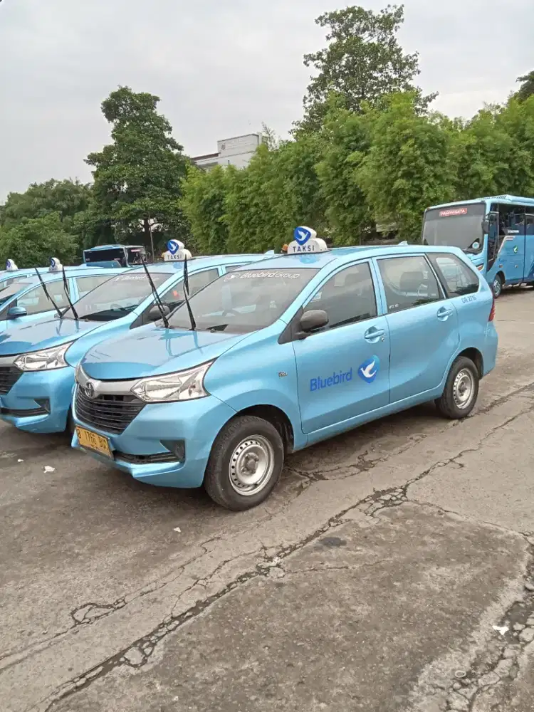 Di butuhkan driver secepat nya