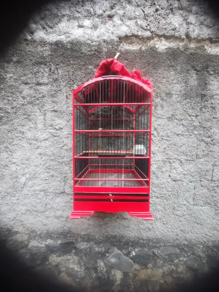 Sangkar Burung kenari