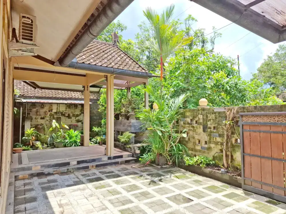 Rumah Asri Nuansa Jawa di Padukuhan Lojajar Jogja