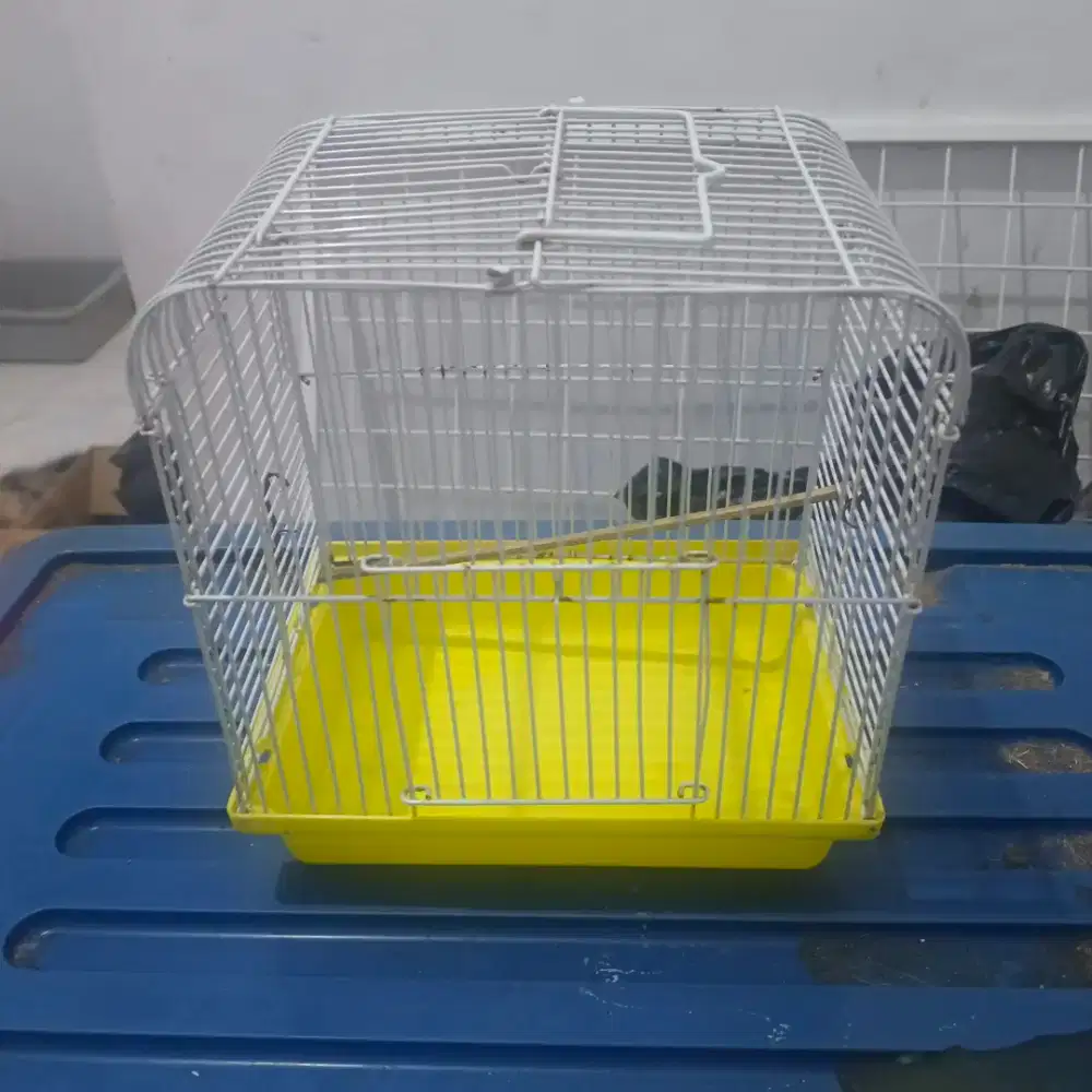 Borongan kandang burung kura