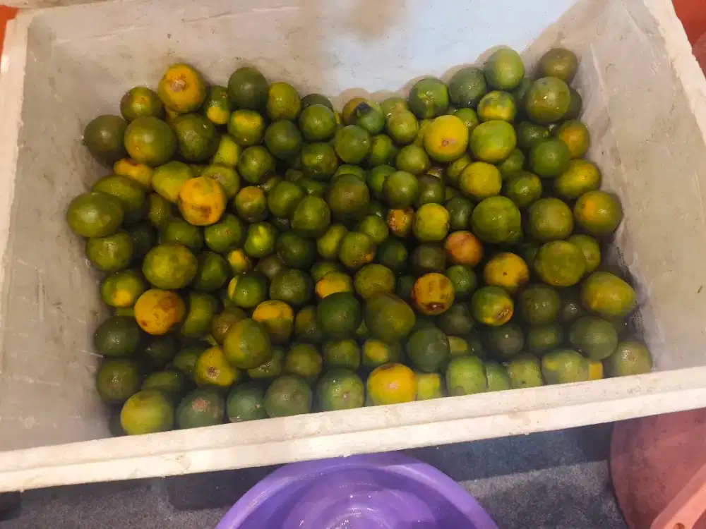 Di butuhkan pegawai bulanan atau 12 hari kerja