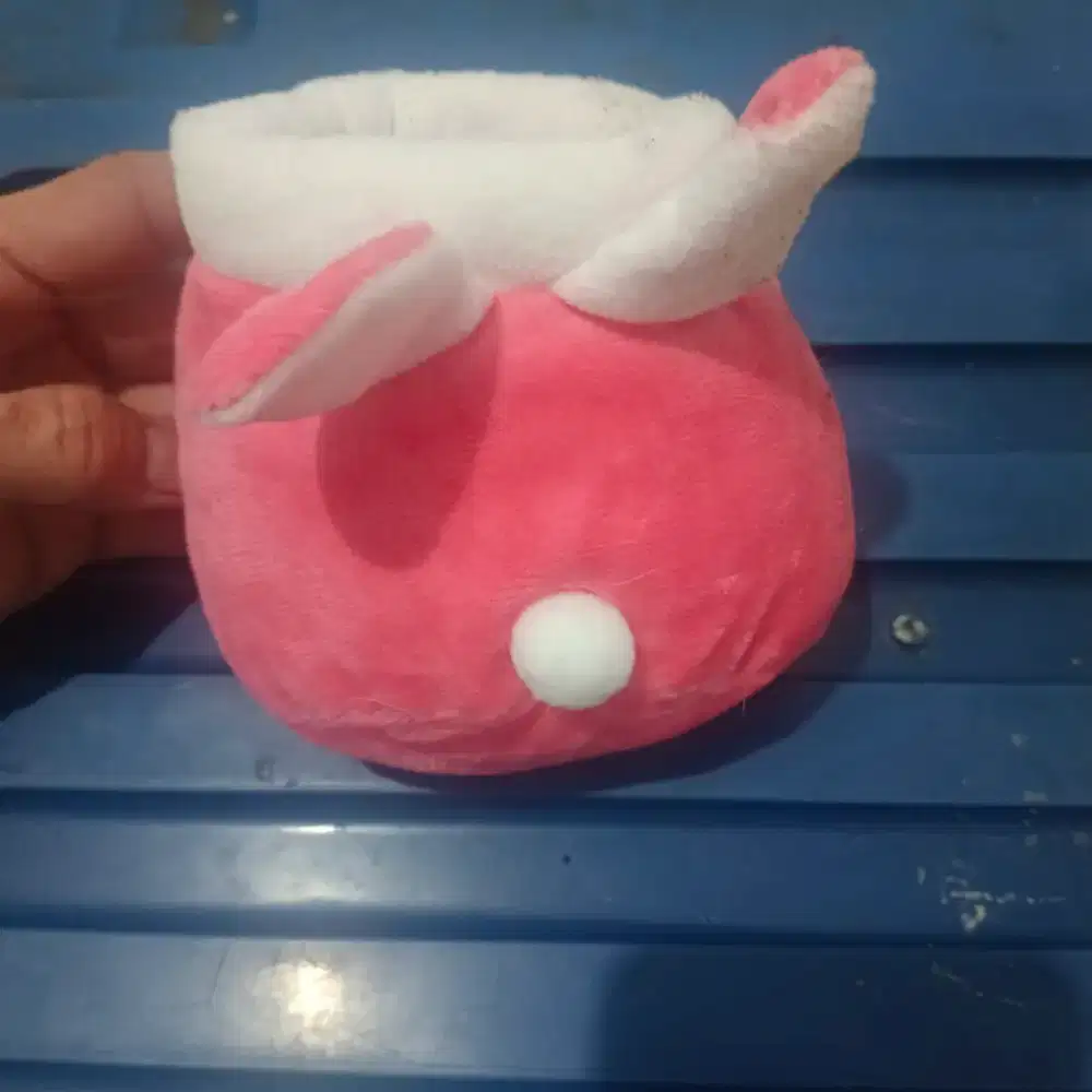 Rumah2an buat anakan hewan