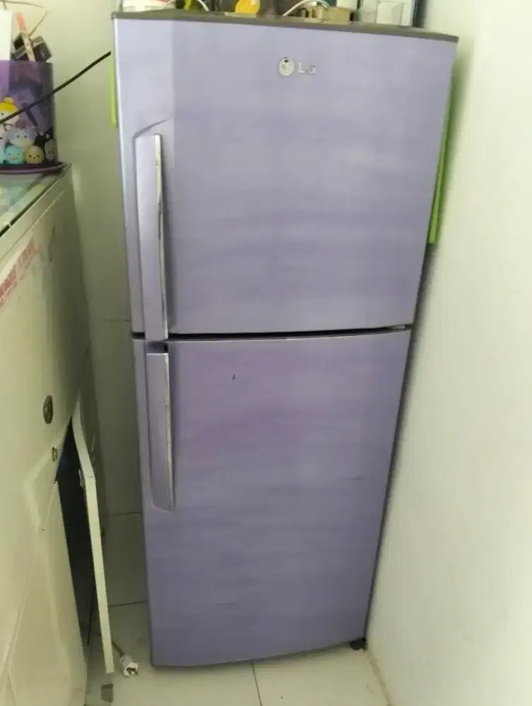 Kulkas LG 2 Pintu