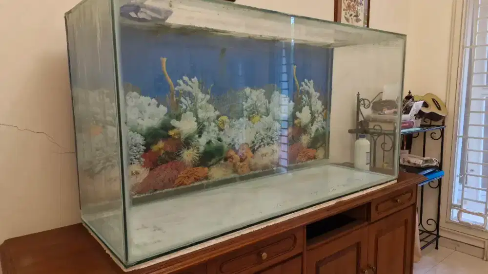 Aquarium - ukuran sedang sampai besar