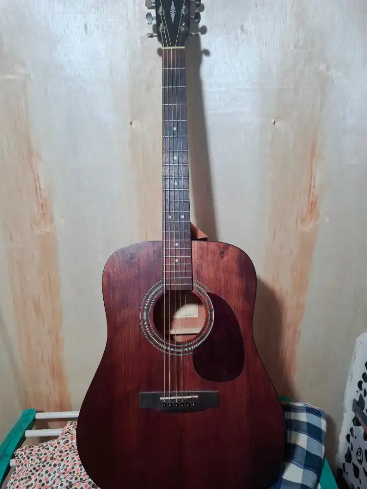 Gitar Akustik Cort Earth 60M