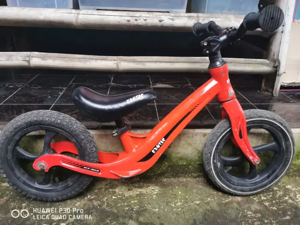 Pushbike / balance bike exotic