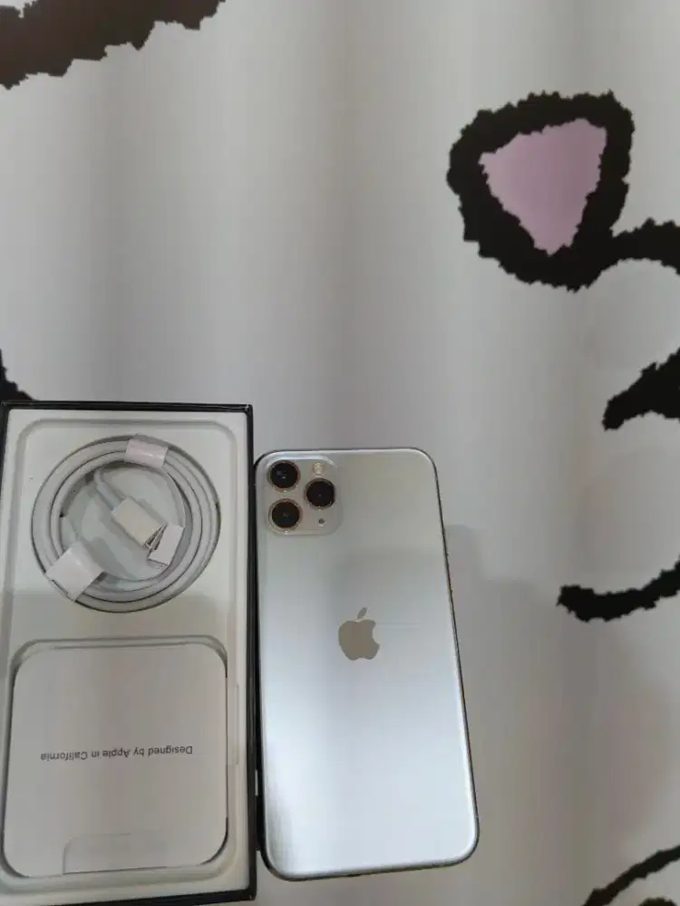 Iphone 11 pro 256gb spilor baru apple