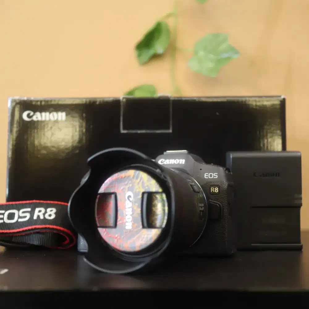 CANON EOS R8 RF 24-50MM IS STM FULLSET BOX ( SC 4××× )