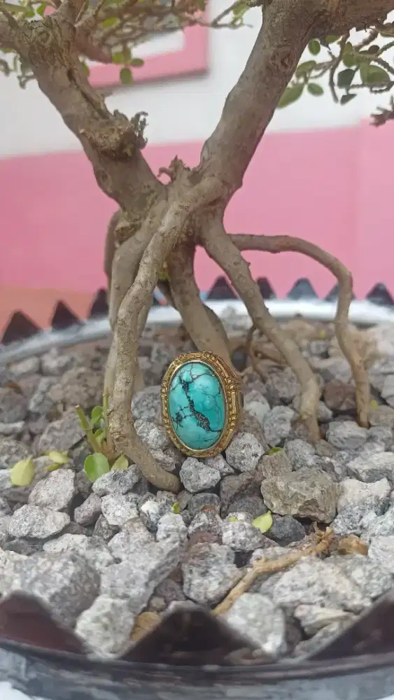 Pirus Hubai Jadul mantap murah