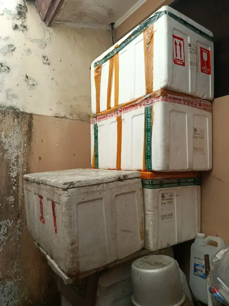 Styrofoam Box AG 75/Box sterofoam/Box Es