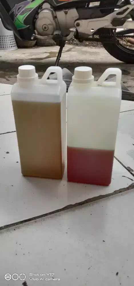 Minyak cengkeh murni