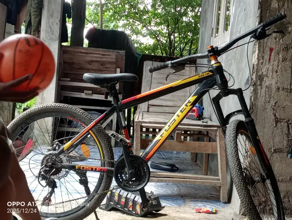 Jual Sepeda  gunung bekas