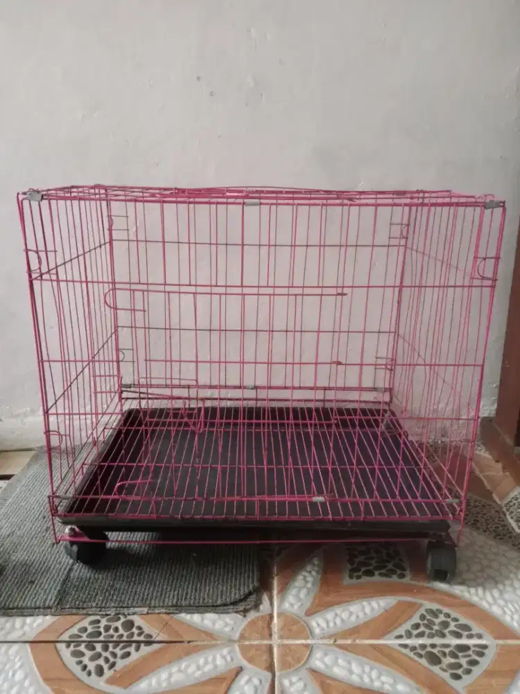 Kandang kucing ukuran besar